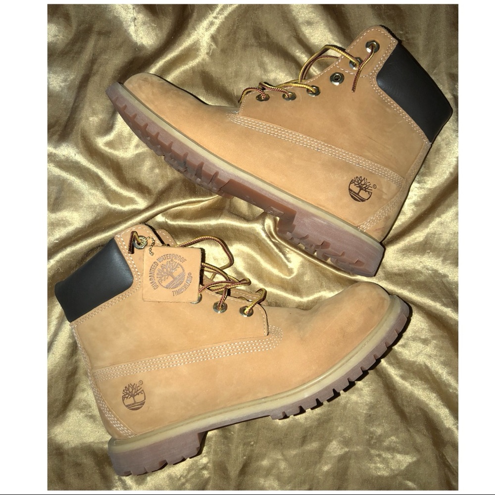 Women’s Timberland Premium Waterproof 6” Boot
